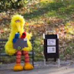 Meet your Posher, Elliott